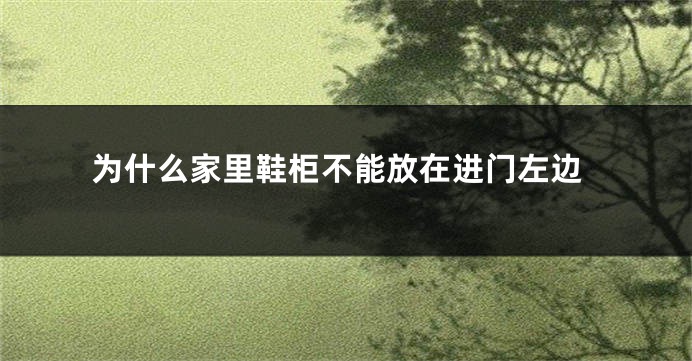 为什么家里鞋柜不能放在进门左边