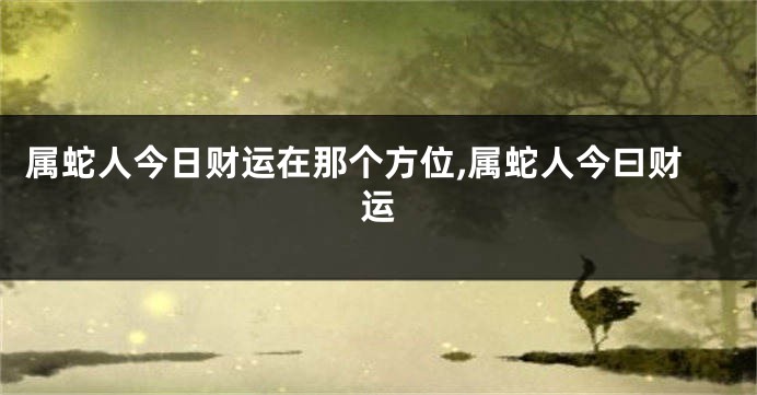 属蛇人今日财运在那个方位,属蛇人今曰财运