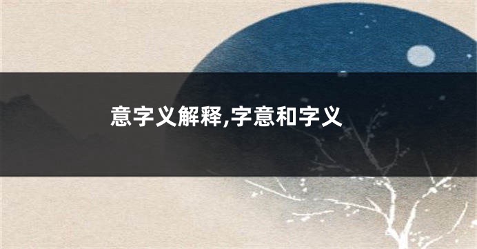 意字义解释,字意和字义