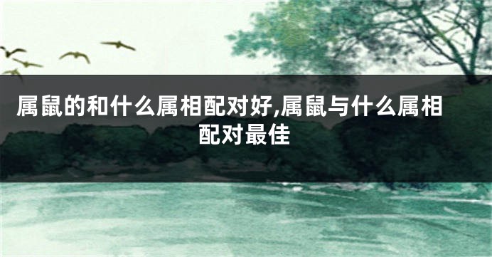 属鼠的和什么属相配对好,属鼠与什么属相配对最佳