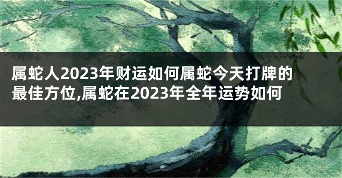 属蛇人2023年财运如何属蛇今天打牌的最佳方位,属蛇在2023年全年运势如何
