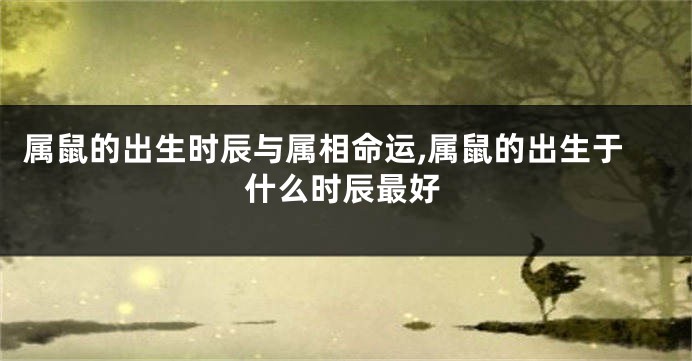 属鼠的出生时辰与属相命运,属鼠的出生于什么时辰最好