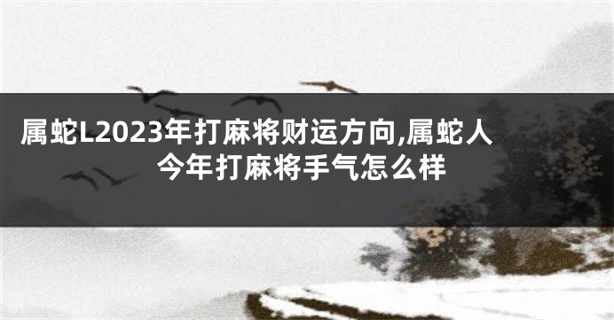属蛇L2023年打麻将财运方向,属蛇人今年打麻将手气怎么样