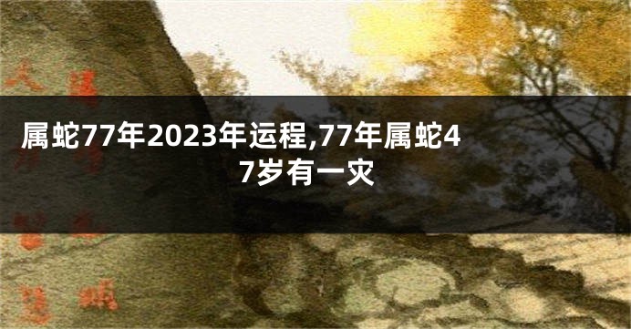 属蛇77年2023年运程,77年属蛇47岁有一灾