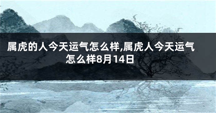 属虎的人今天运气怎么样,属虎人今天运气怎么样8月14日