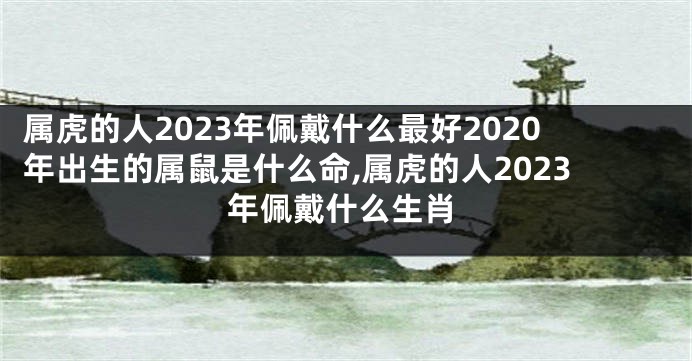 属虎的人2023年佩戴什么最好2020年出生的属鼠是什么命,属虎的人2023年佩戴什么生肖