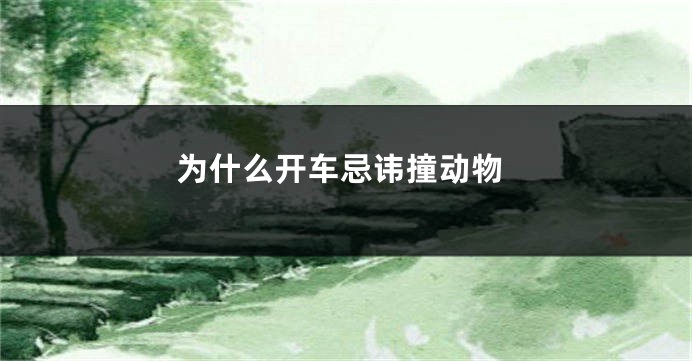 为什么开车忌讳撞动物