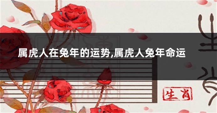 属虎人在兔年的运势,属虎人兔年命运
