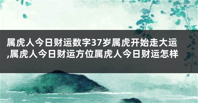 属虎人今日财运数字37岁属虎开始走大运,属虎人今日财运方位属虎人今日财运怎样