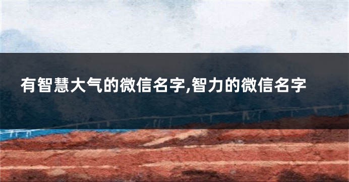 有智慧大气的微信名字,智力的微信名字