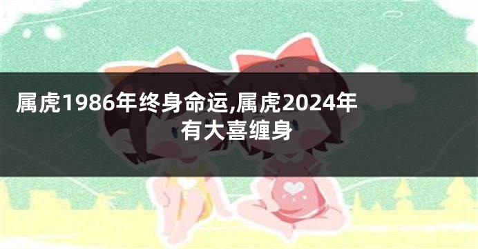 属虎1986年终身命运,属虎2024年有大喜缠身