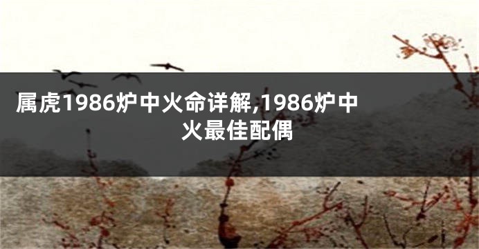属虎1986炉中火命详解,1986炉中火最佳配偶