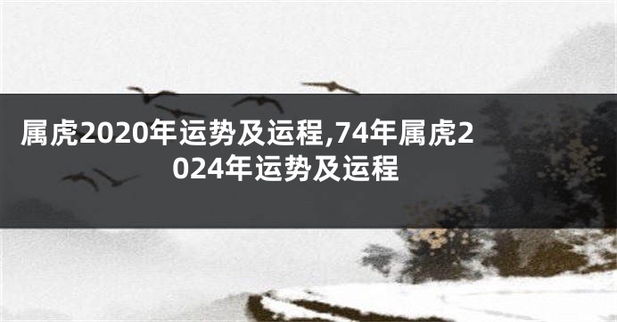 属虎2020年运势及运程,74年属虎2024年运势及运程