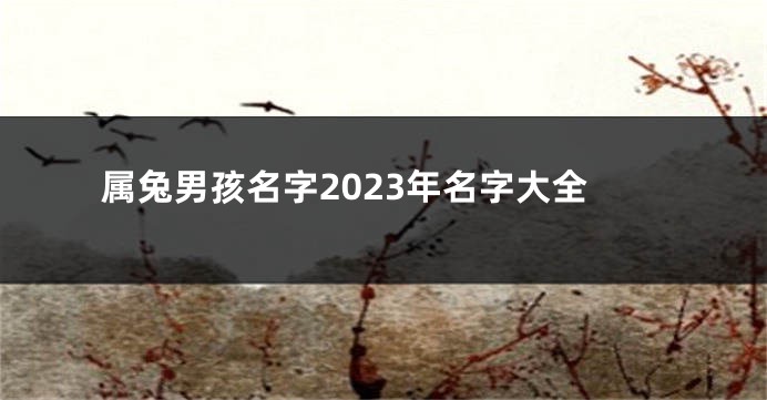 属兔男孩名字2023年名字大全