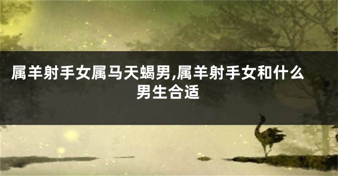 属羊射手女属马天蝎男,属羊射手女和什么男生合适