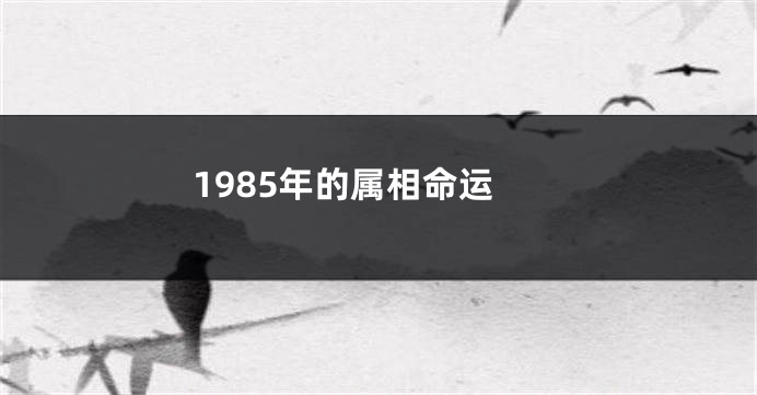 1985年的属相命运