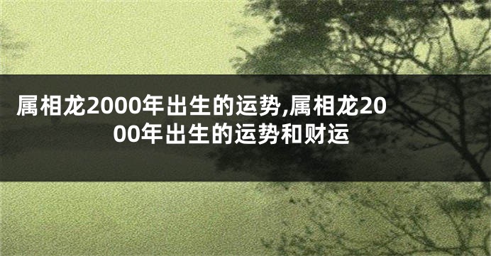 属相龙2000年出生的运势,属相龙2000年出生的运势和财运