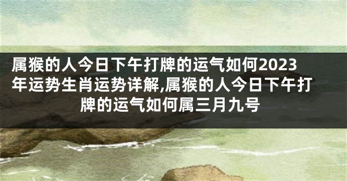 属猴的人今日下午打牌的运气如何2023年运势生肖运势详解,属猴的人今日下午打牌的运气如何属三月九号