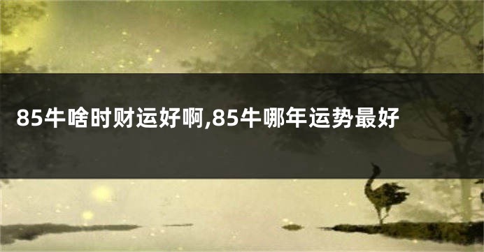 85牛啥时财运好啊,85牛哪年运势最好