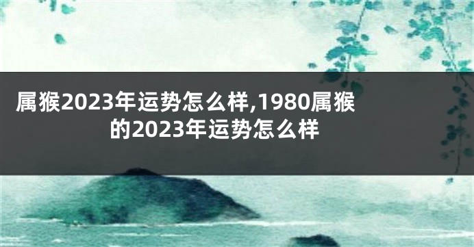 属猴2023年运势怎么样,1980属猴的2023年运势怎么样