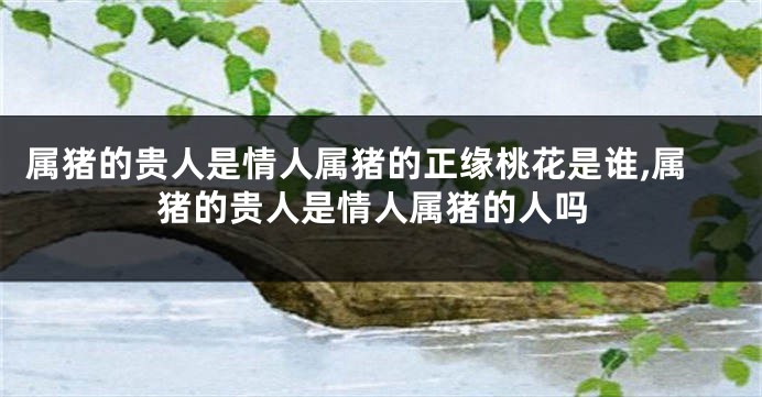 属猪的贵人是情人属猪的正缘桃花是谁,属猪的贵人是情人属猪的人吗