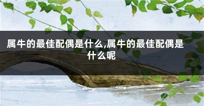 属牛的最佳配偶是什么,属牛的最佳配偶是什么呢