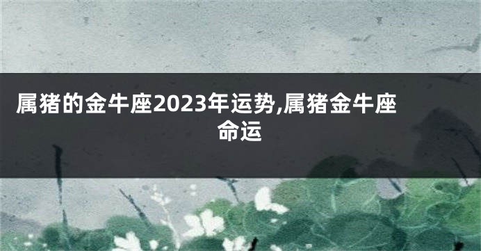 属猪的金牛座2023年运势,属猪金牛座命运
