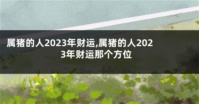 属猪的人2023年财运,属猪的人2023年财运那个方位