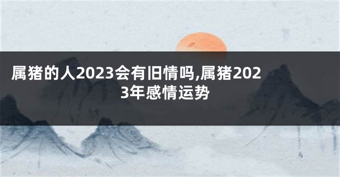 属猪的人2023会有旧情吗,属猪2023年感情运势