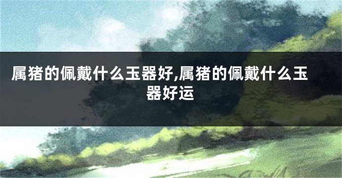 属猪的佩戴什么玉器好,属猪的佩戴什么玉器好运