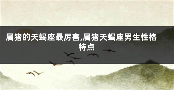 属猪的天蝎座最厉害,属猪天蝎座男生性格特点