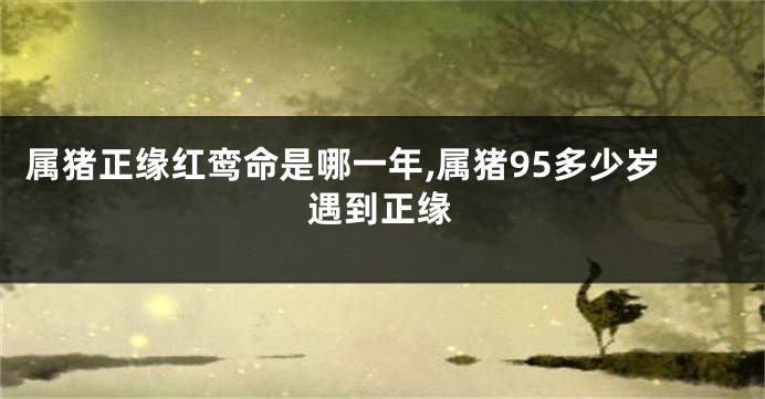 属猪正缘红鸾命是哪一年,属猪95多少岁遇到正缘