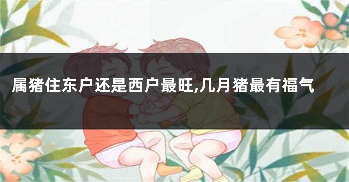 属猪住东户还是西户最旺,几月猪最有福气