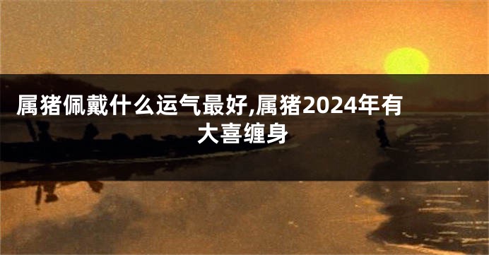 属猪佩戴什么运气最好,属猪2024年有大喜缠身