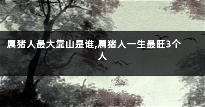 属猪人最大靠山是谁,属猪人一生最旺3个人