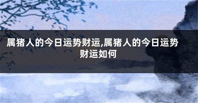 属猪人的今日运势财运,属猪人的今日运势财运如何