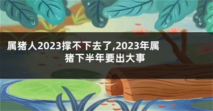属猪人2023撑不下去了,2023年属猪下半年要出大事