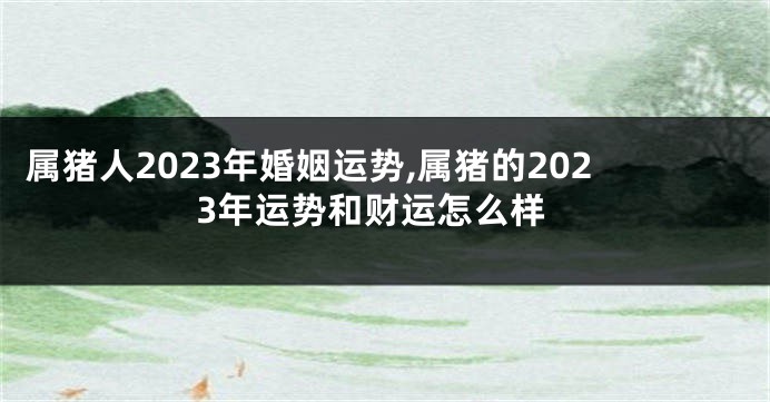 属猪人2023年婚姻运势,属猪的2023年运势和财运怎么样