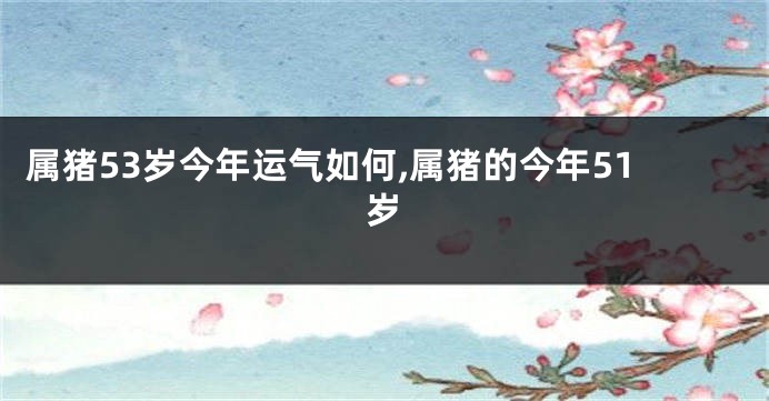 属猪53岁今年运气如何,属猪的今年51岁