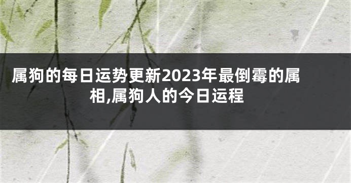 属狗的每日运势更新2023年最倒霉的属相,属狗人的今日运程