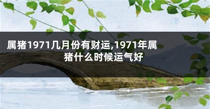 属猪1971几月份有财运,1971年属猪什么时候运气好