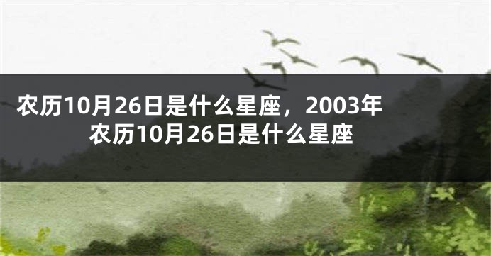 农历10月26日是什么星座，2003年农历10月26日是什么星座