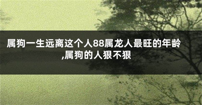 属狗一生远离这个人88属龙人最旺的年龄,属狗的人狠不狠