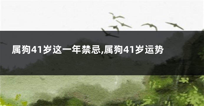 属狗41岁这一年禁忌,属狗41岁运势