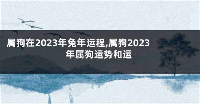 属狗在2023年兔年运程,属狗2023年属狗运势和运