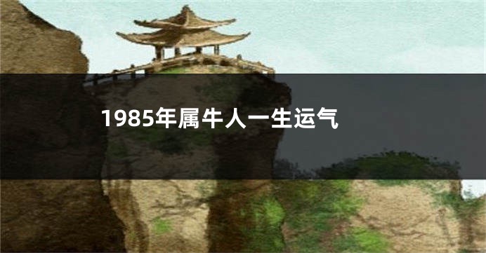 1985年属牛人一生运气