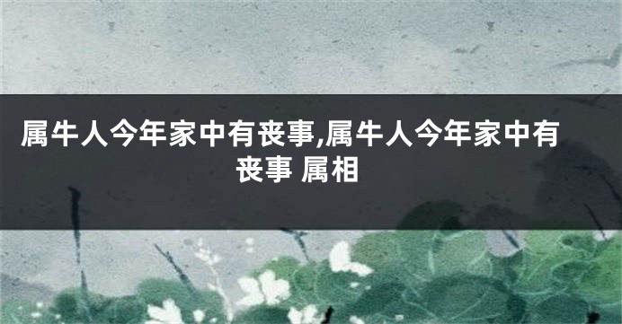 属牛人今年家中有丧事,属牛人今年家中有丧事 属相
