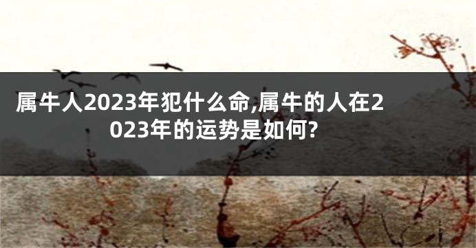 属牛人2023年犯什么命,属牛的人在2023年的运势是如何?