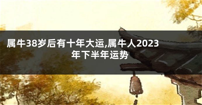 属牛38岁后有十年大运,属牛人2023年下半年运势