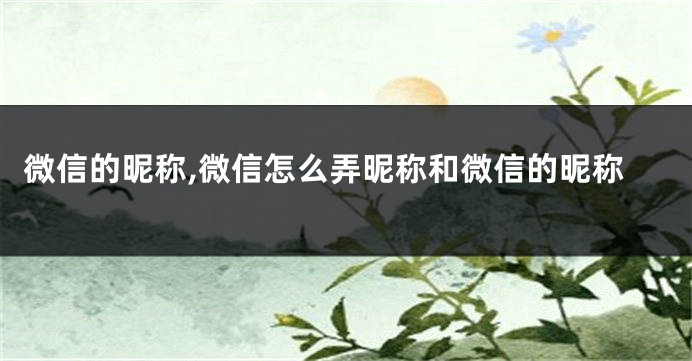 微信的昵称,微信怎么弄昵称和微信的昵称